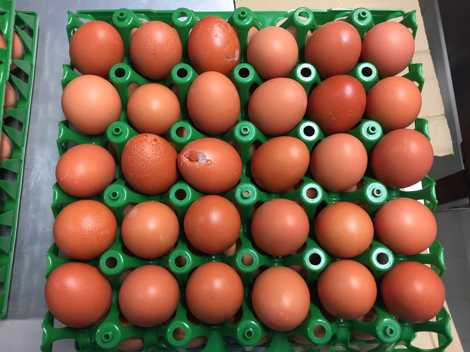 clean eggs