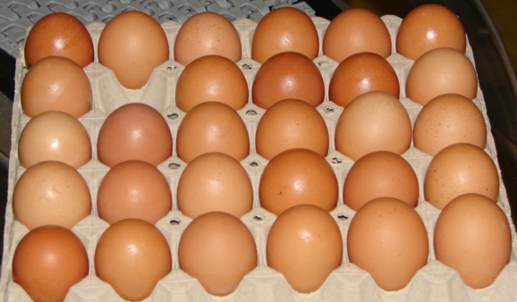 Washing eggs